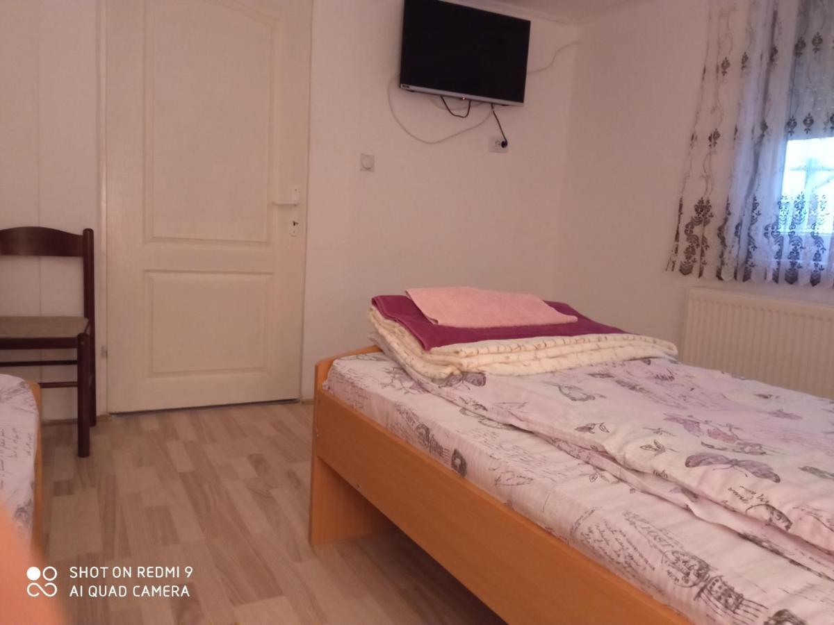 Guest House Vila Banjica Pirot Buitenkant foto