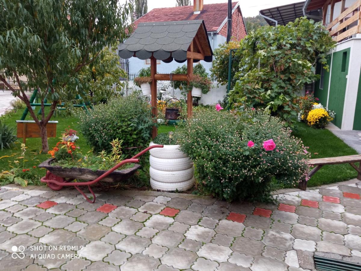 Guest House Vila Banjica Pirot Buitenkant foto