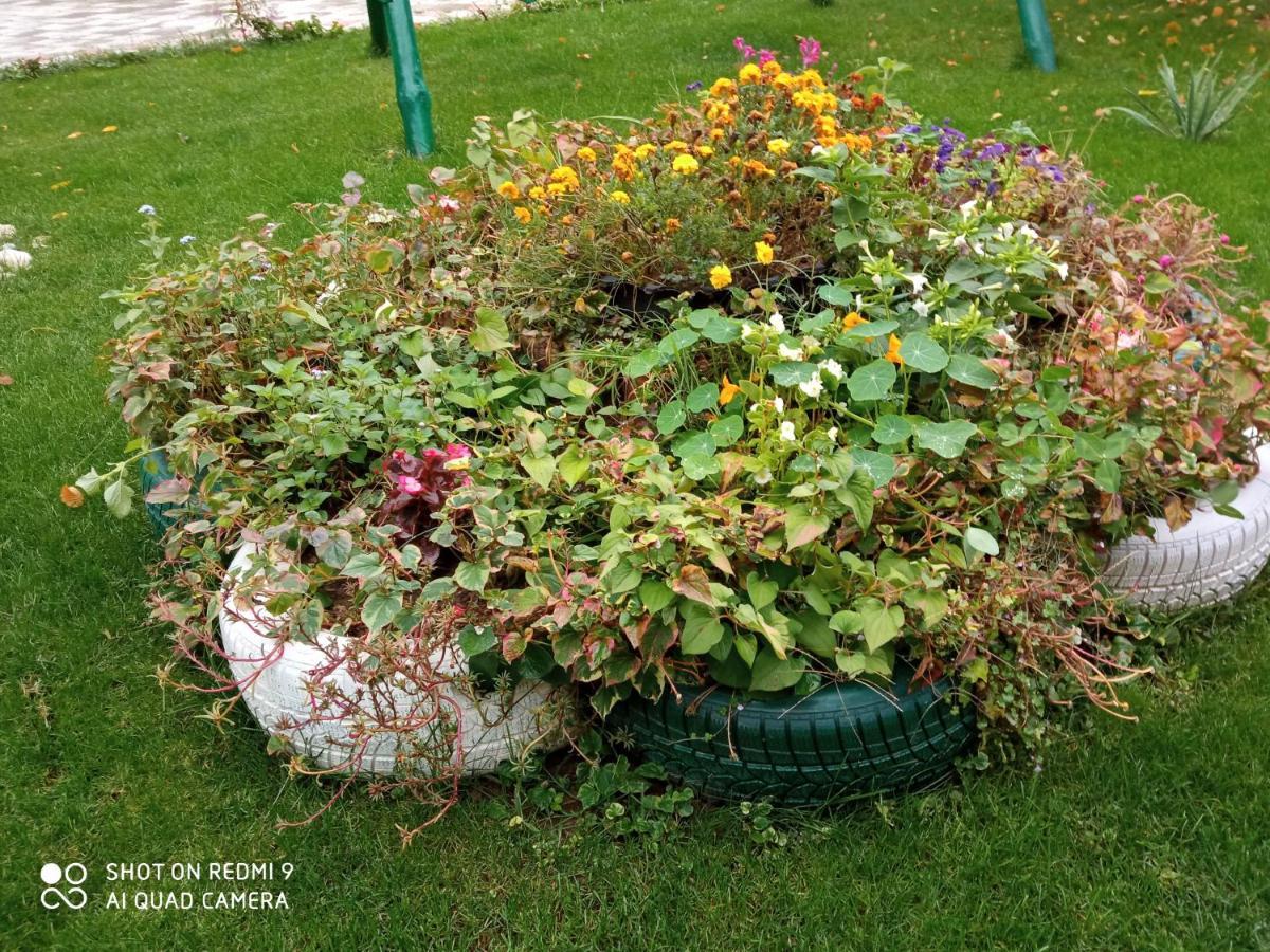 Guest House Vila Banjica Pirot Buitenkant foto
