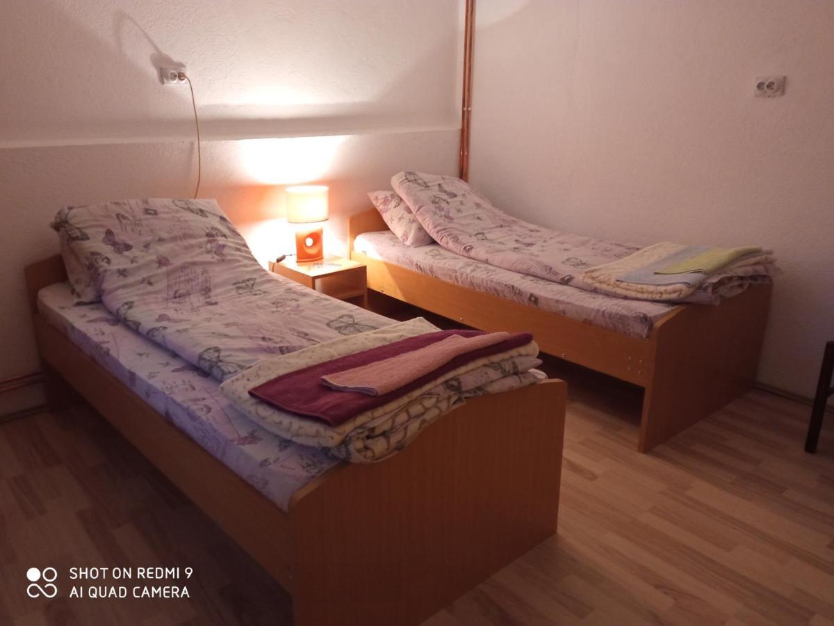 Guest House Vila Banjica Pirot Buitenkant foto