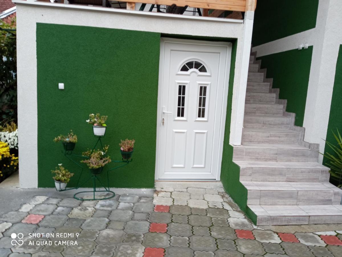 Guest House Vila Banjica Pirot Buitenkant foto