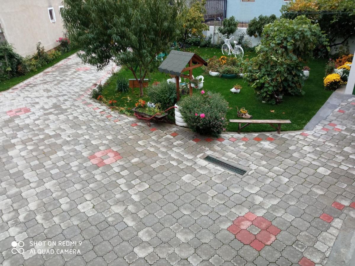 Guest House Vila Banjica Pirot Buitenkant foto