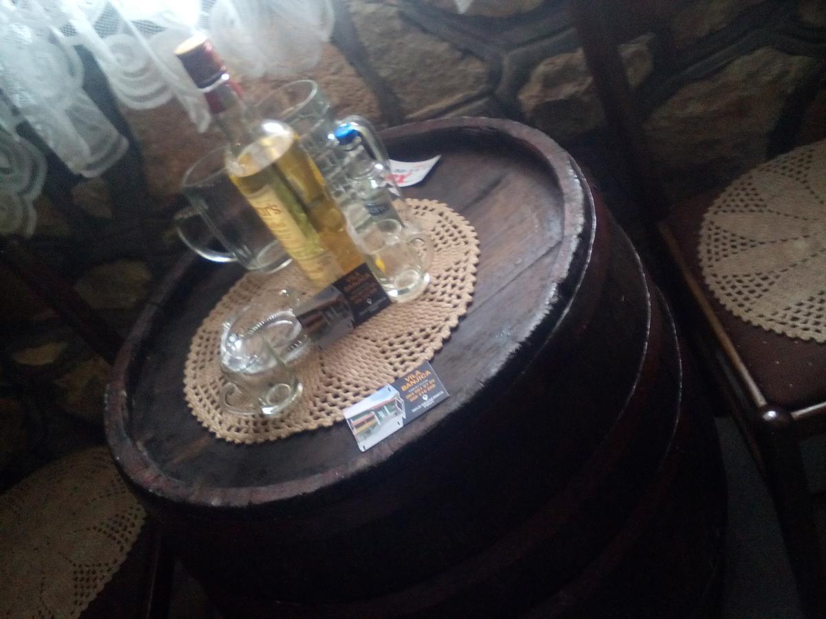 Guest House Vila Banjica Pirot Buitenkant foto