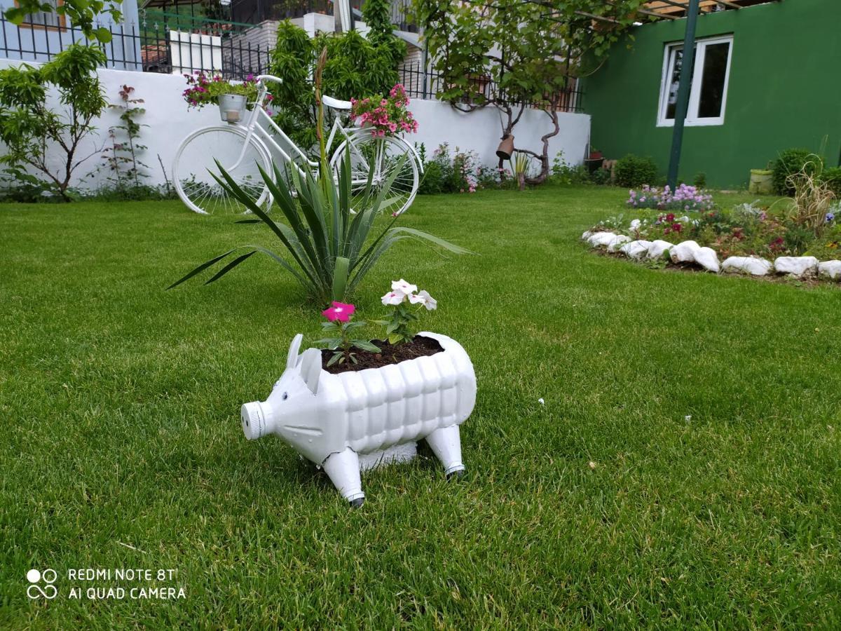 Guest House Vila Banjica Pirot Buitenkant foto