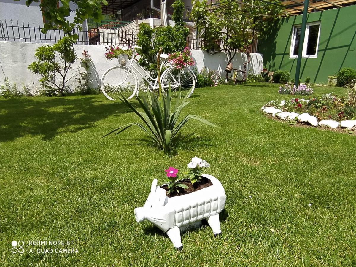 Guest House Vila Banjica Pirot Buitenkant foto