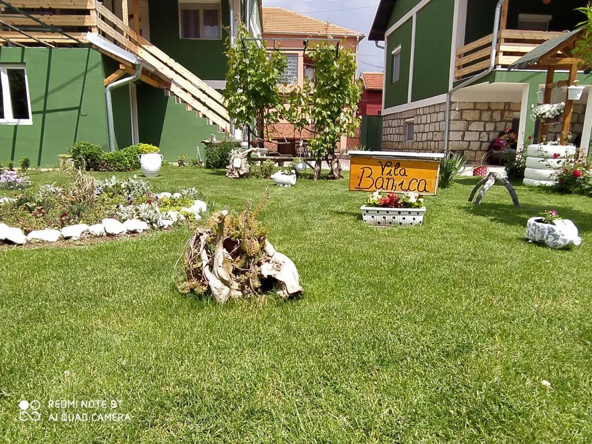 Guest House Vila Banjica Pirot Buitenkant foto