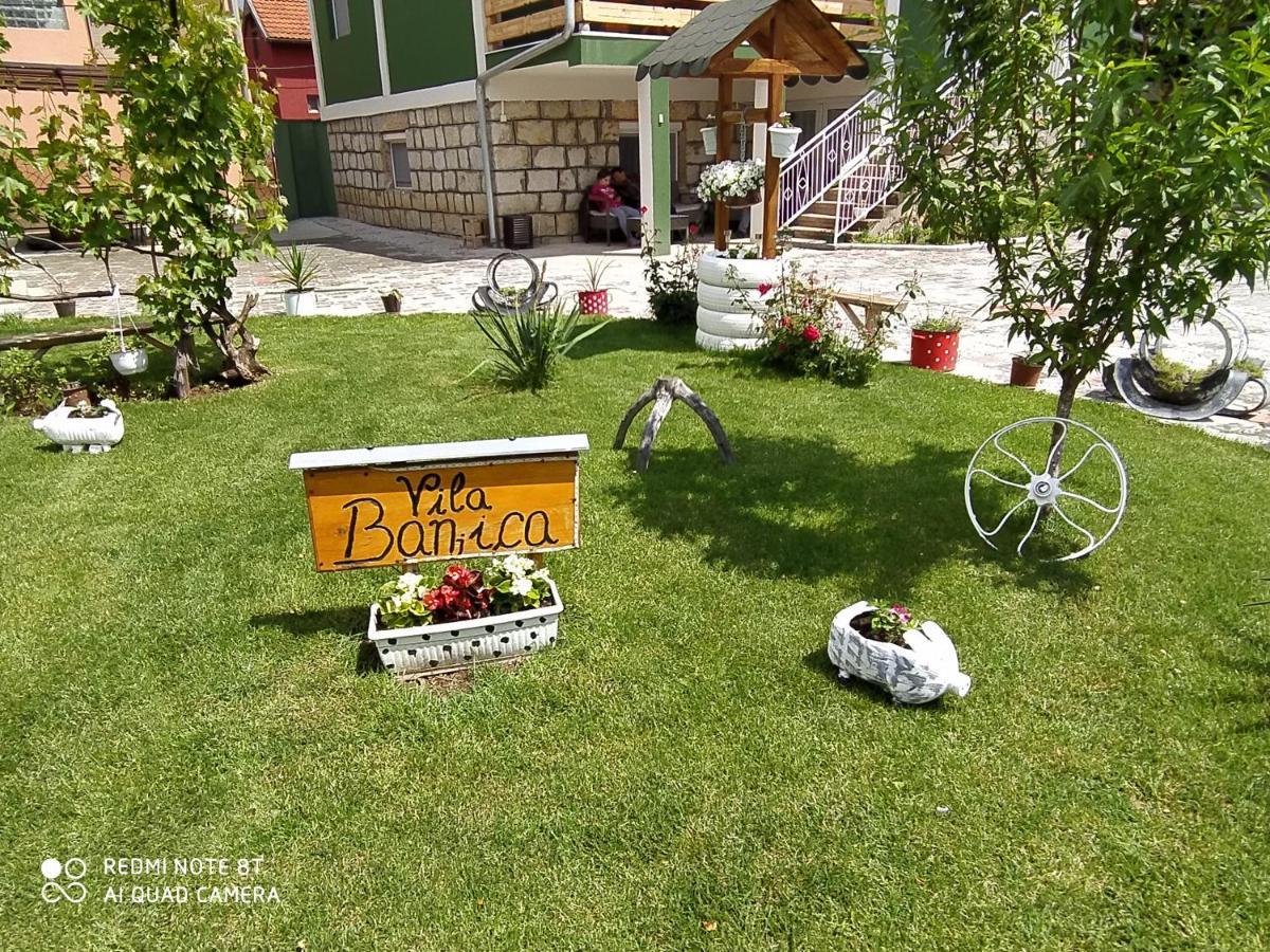 Guest House Vila Banjica Pirot Buitenkant foto