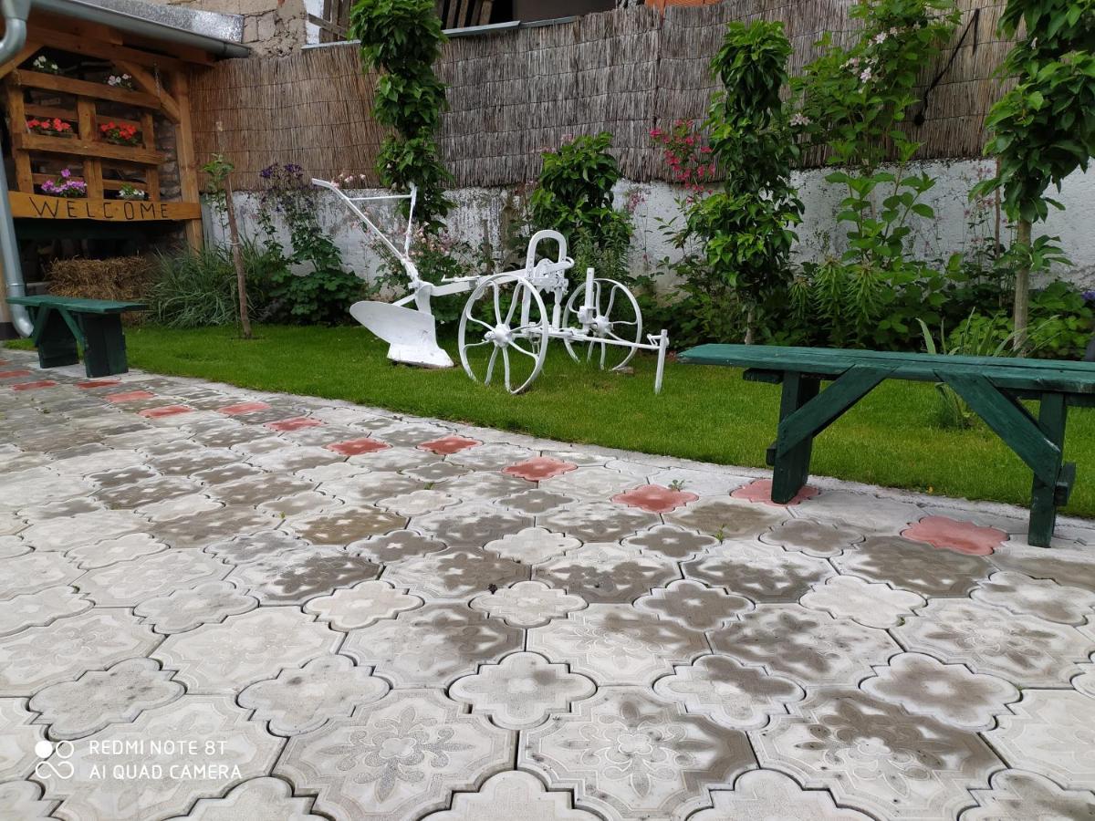 Guest House Vila Banjica Pirot Buitenkant foto