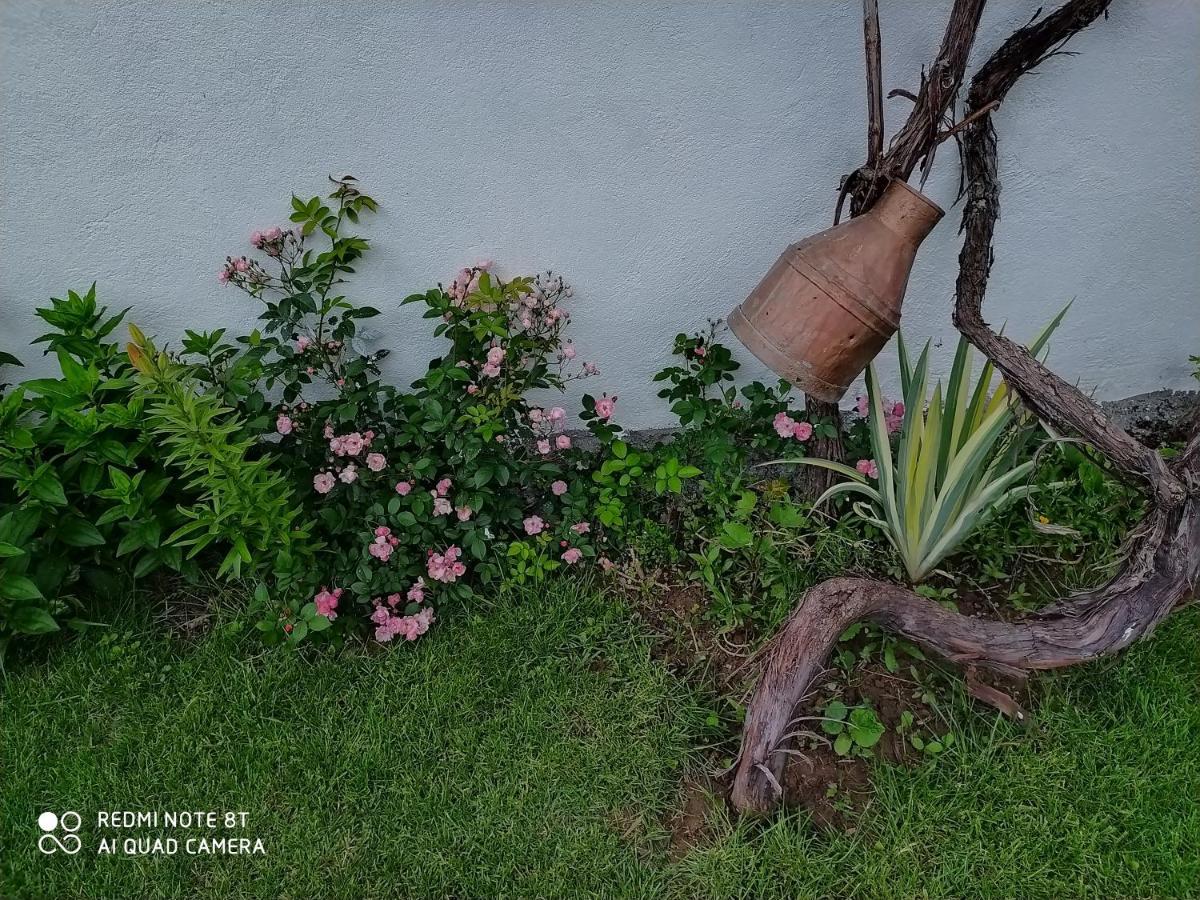 Guest House Vila Banjica Pirot Buitenkant foto